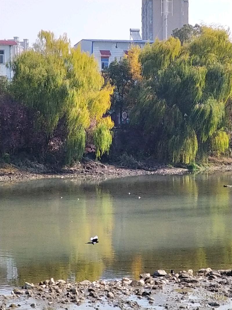 IMG_20191209_105830.jpeg