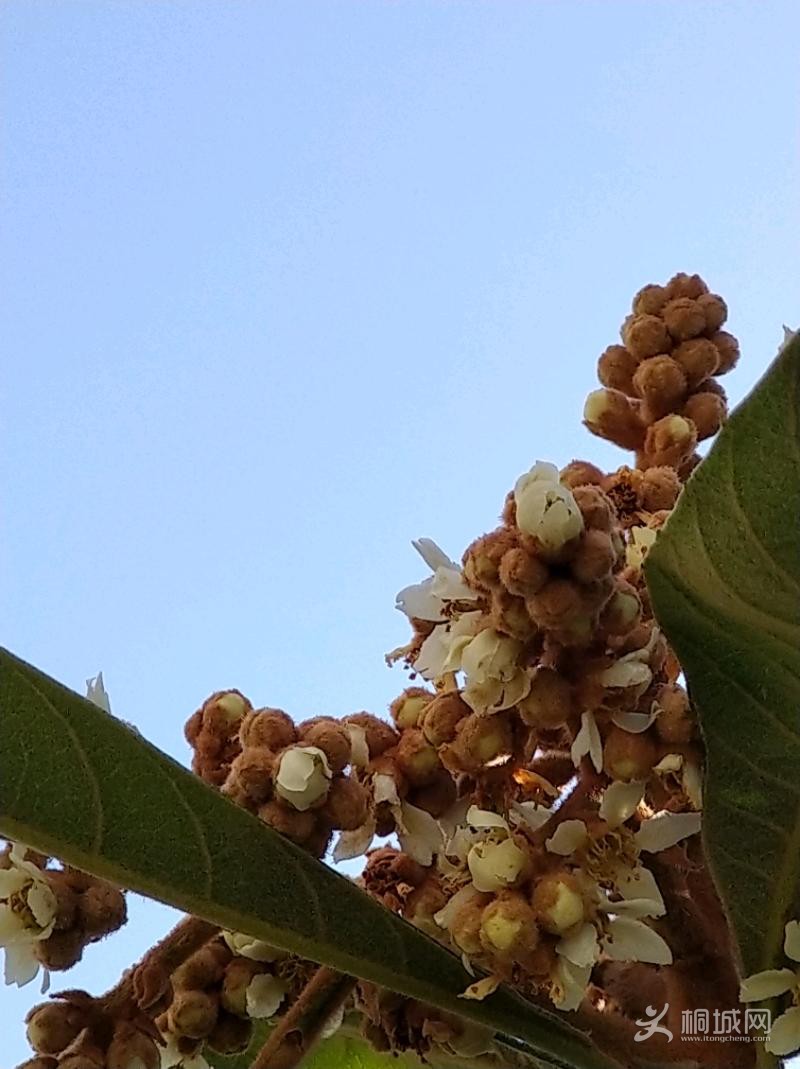 IMG_20191119_092700.jpeg