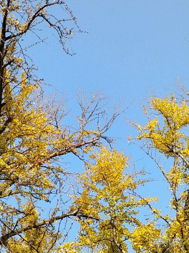 IMG_20191202_151050.jpeg