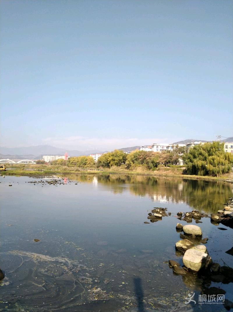 IMG_20191209_110412.jpeg
