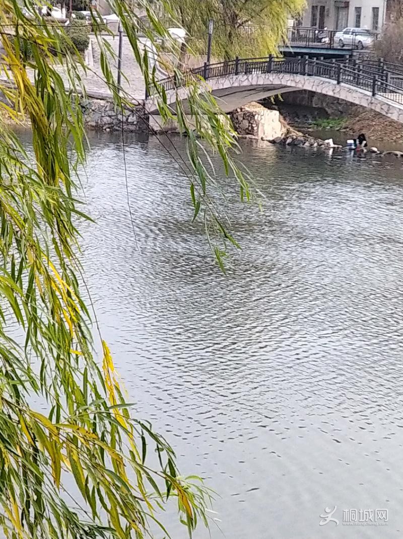 IMG_20191226_094352.jpeg