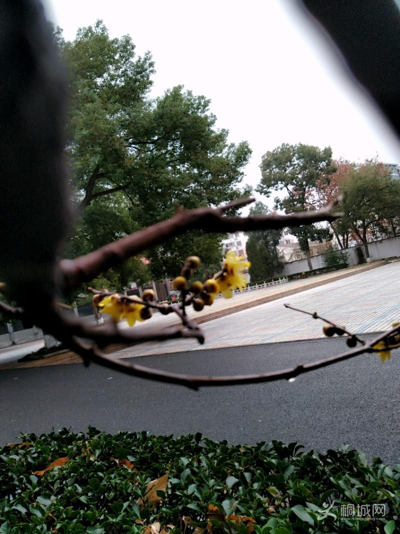 IMG_20191229_093702.jpeg