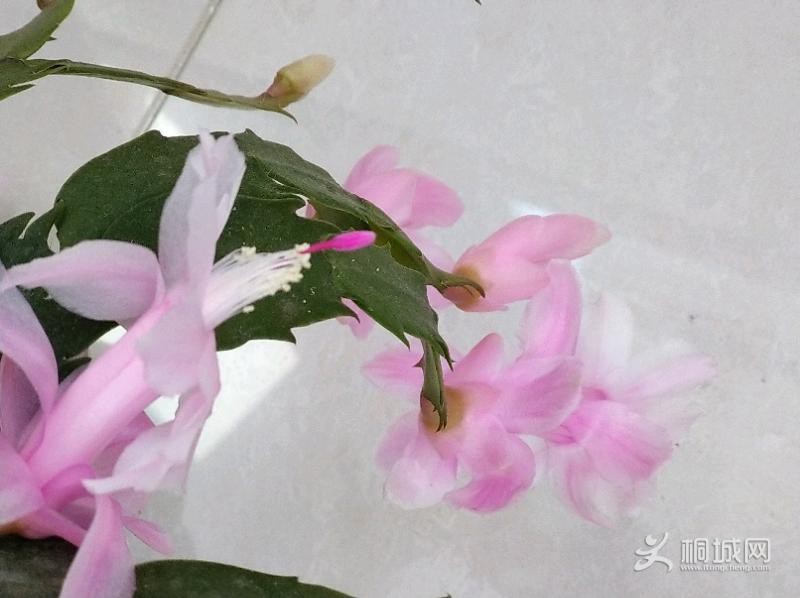 IMG_20191230_092535.jpeg