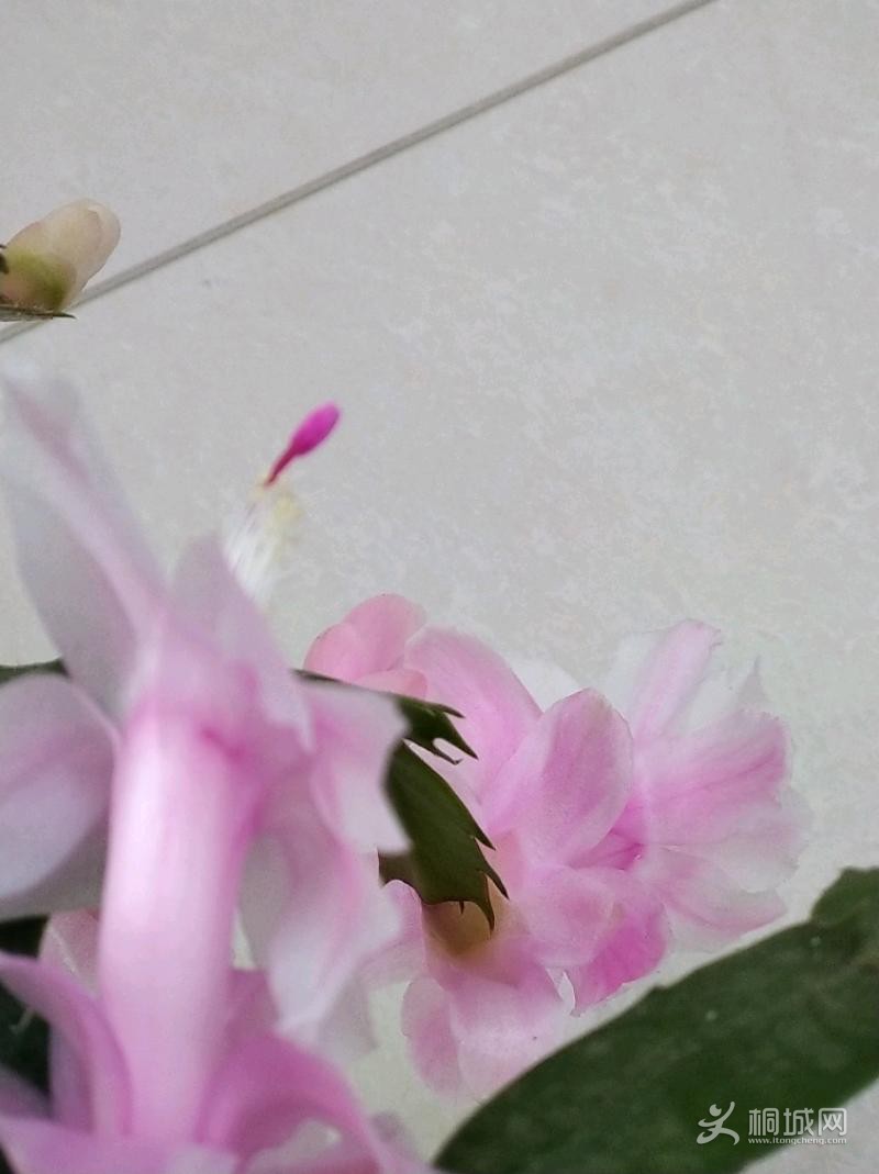 IMG_20191230_092515.jpeg