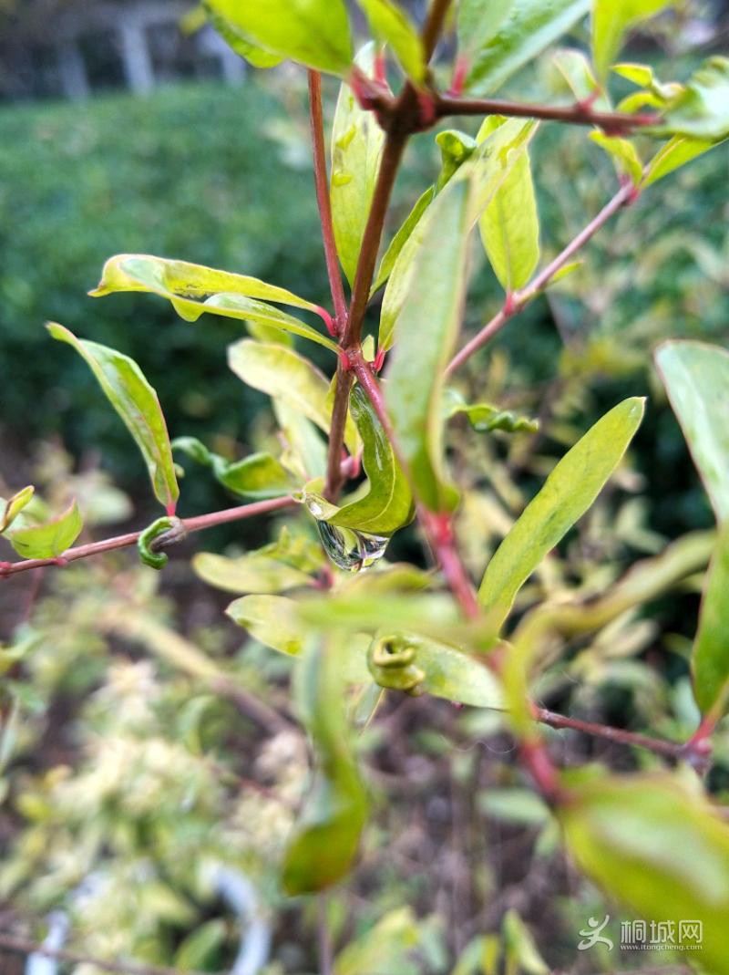 IMG_20191229_092207.jpeg