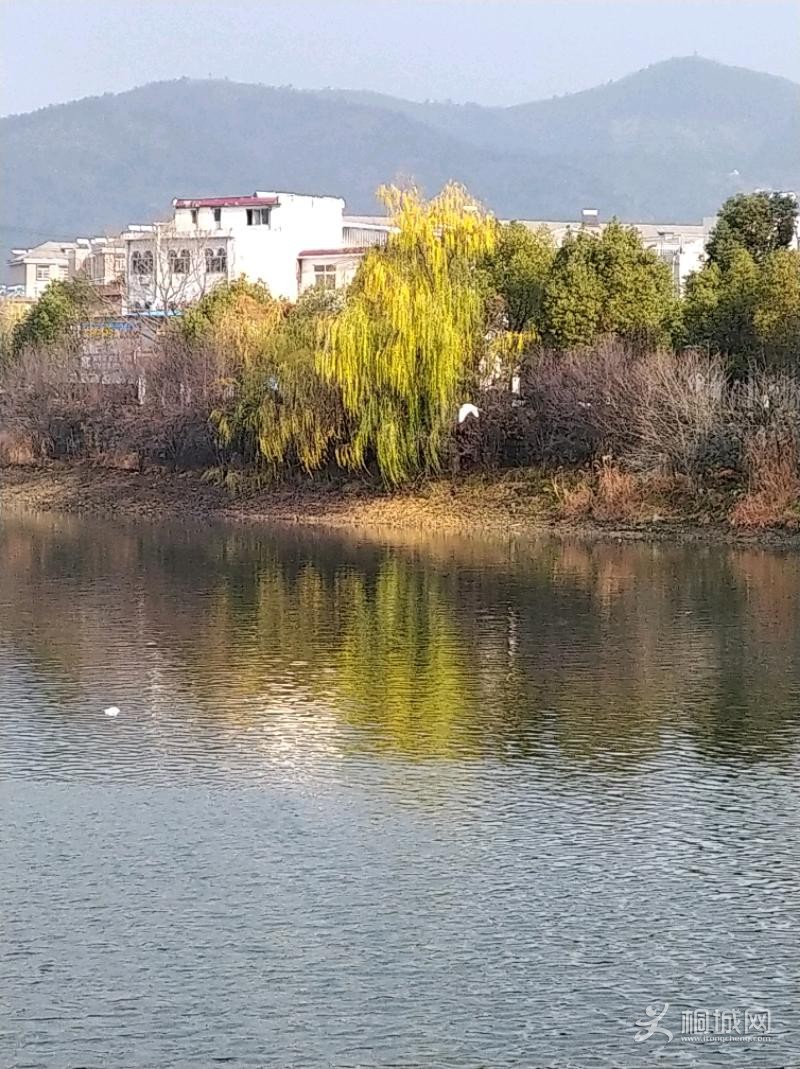 IMG_20191226_094937.jpeg