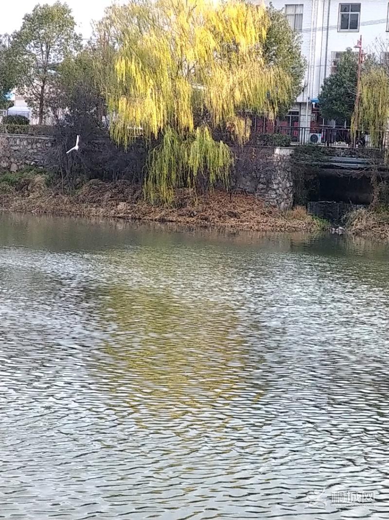 IMG_20191226_095027.jpeg
