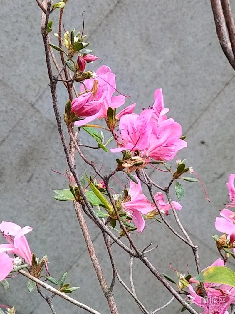 IMG_20200108_091656.jpeg