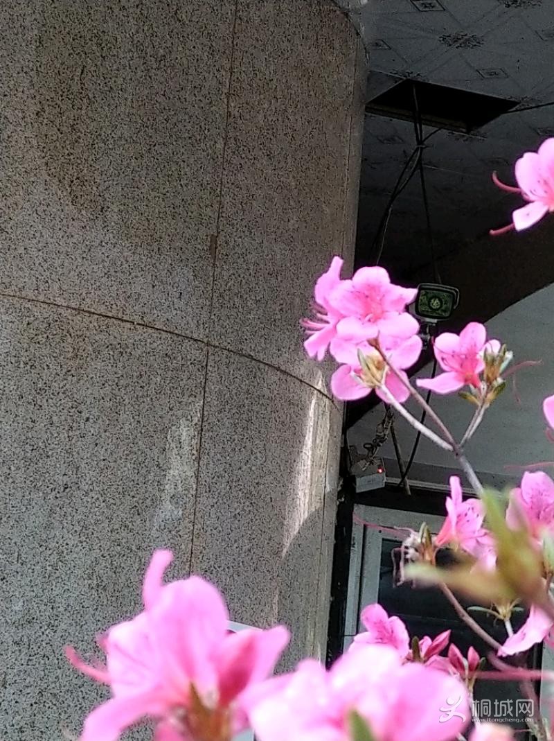 IMG_20200108_091550.jpeg