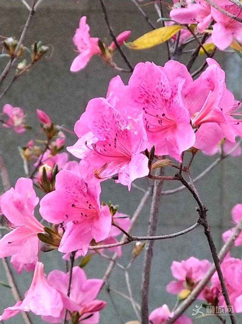 IMG_20200108_091745.jpeg
