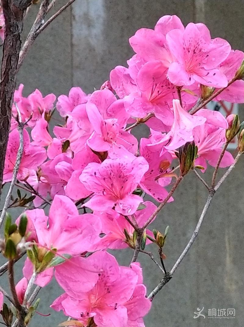 IMG_20200108_091741.jpeg