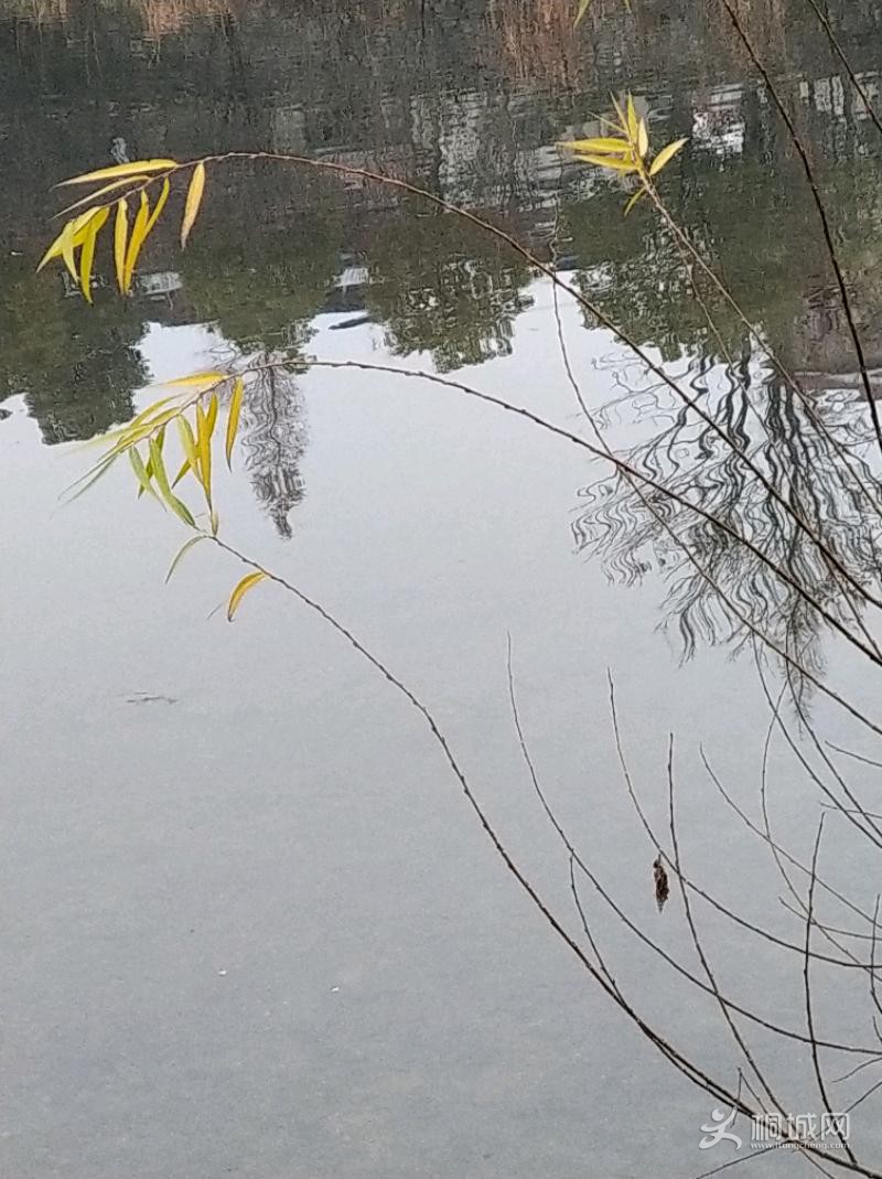 IMG_20200106_081820.jpeg