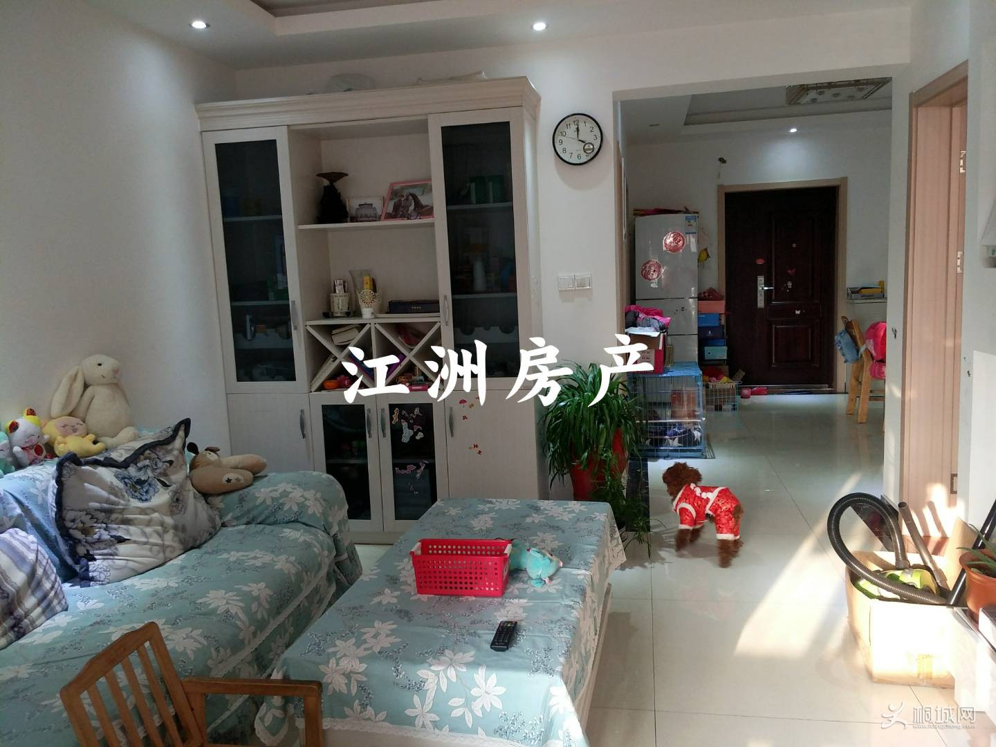 mmexport1579054112456.jpg
