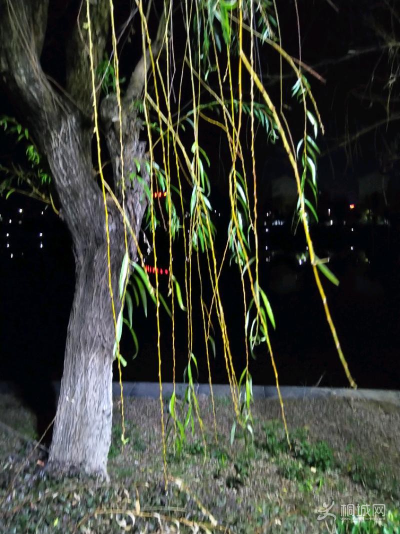 IMG_20200129_205026.jpeg