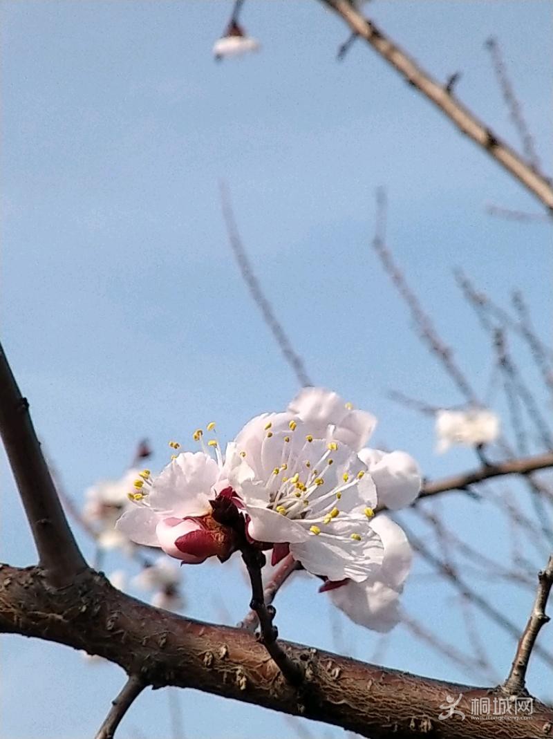 IMG_20200307_155741.jpeg