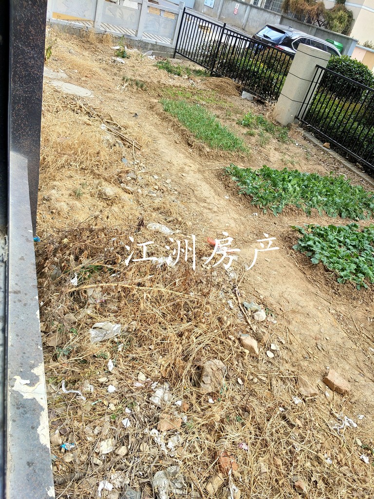 IMG_20191118_091729.JPG