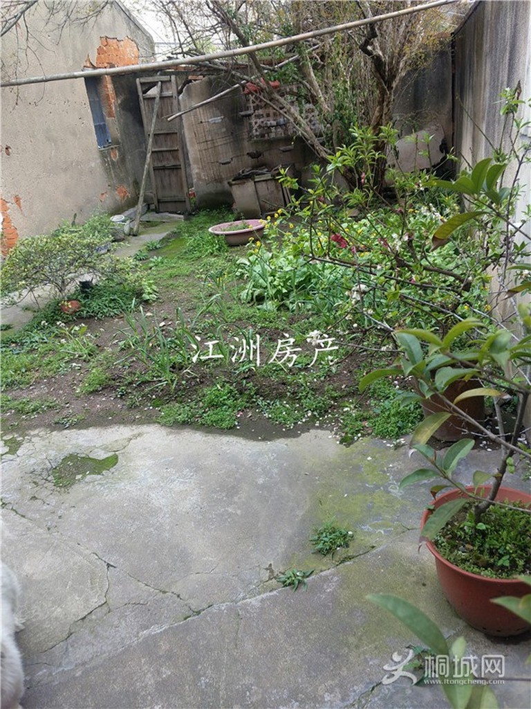 IMG_20200401_135216.jpg