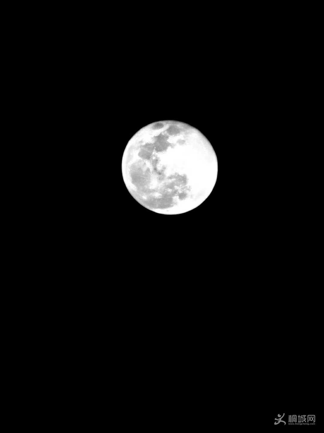 ΢ͼƬ_20200406132413.jpg