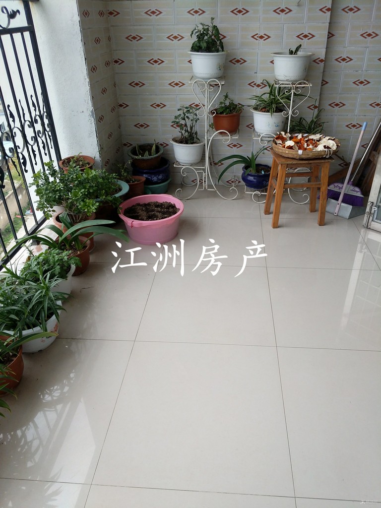 IMG_20200410_165320.JPG