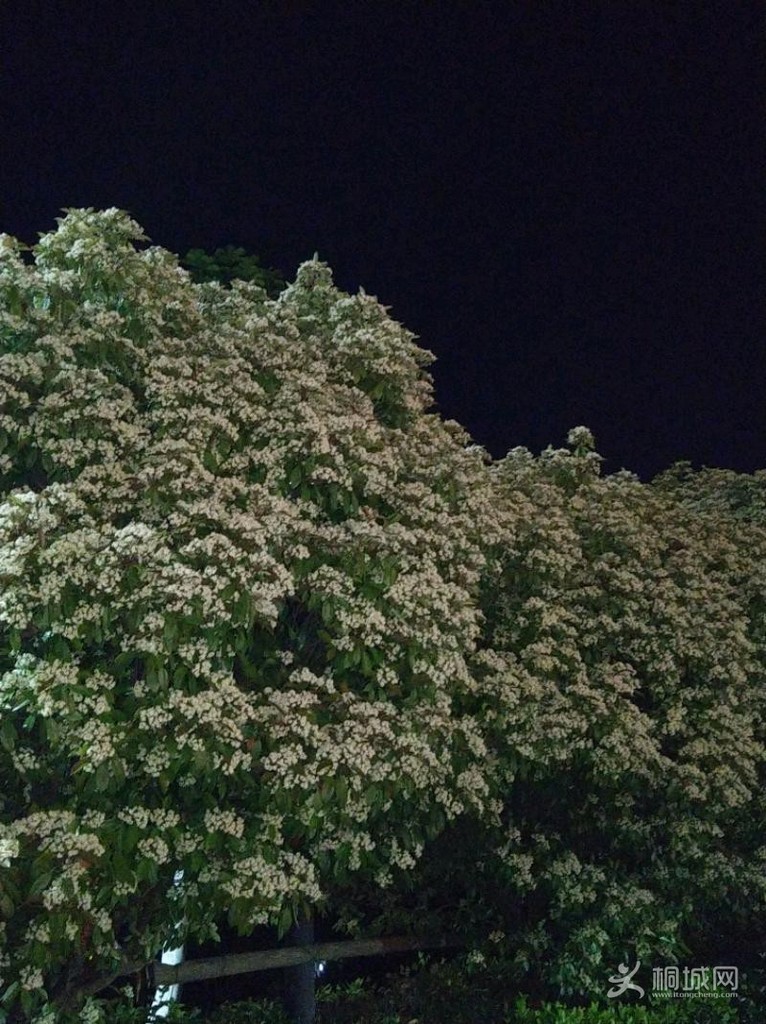 IMG_20200416_203041.jpeg