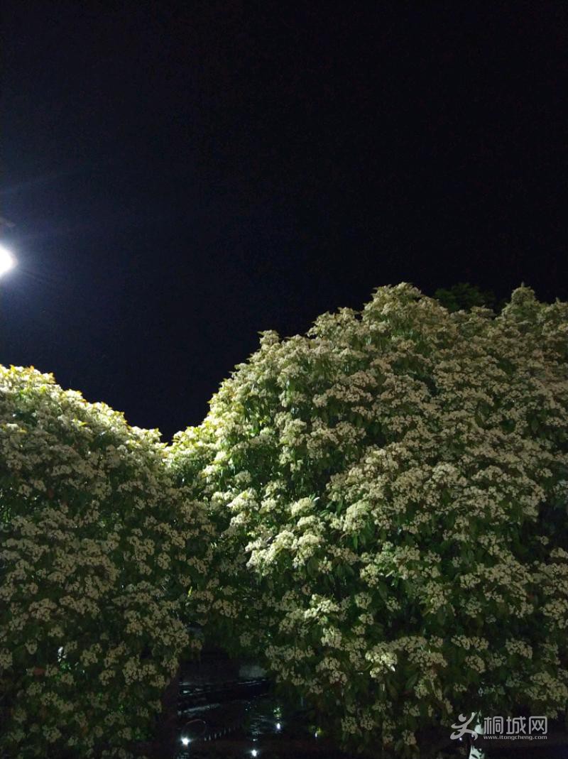 IMG_20200416_203027.jpeg