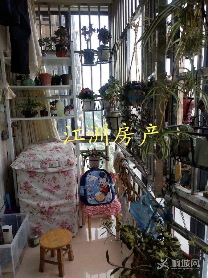 лͥ25#100795ƽ3Ҿװ70IMG_20200531_213722.JPG