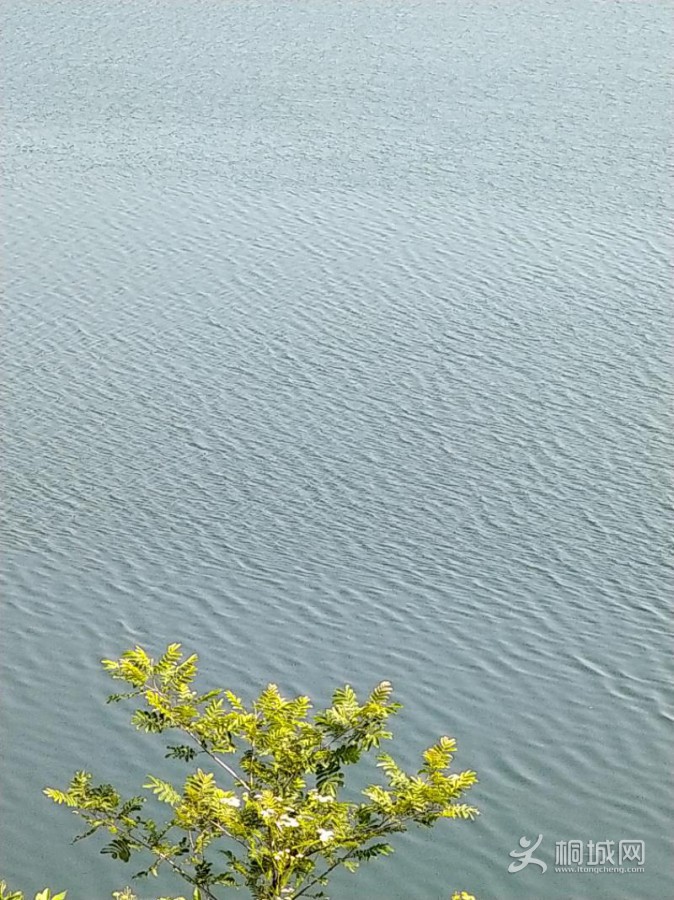 IMG_20200601_094616.jpeg