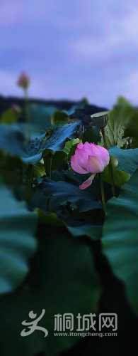 B2FAEEBF-D479-4C6F-B8B2-DC5E60D0653F.jpeg