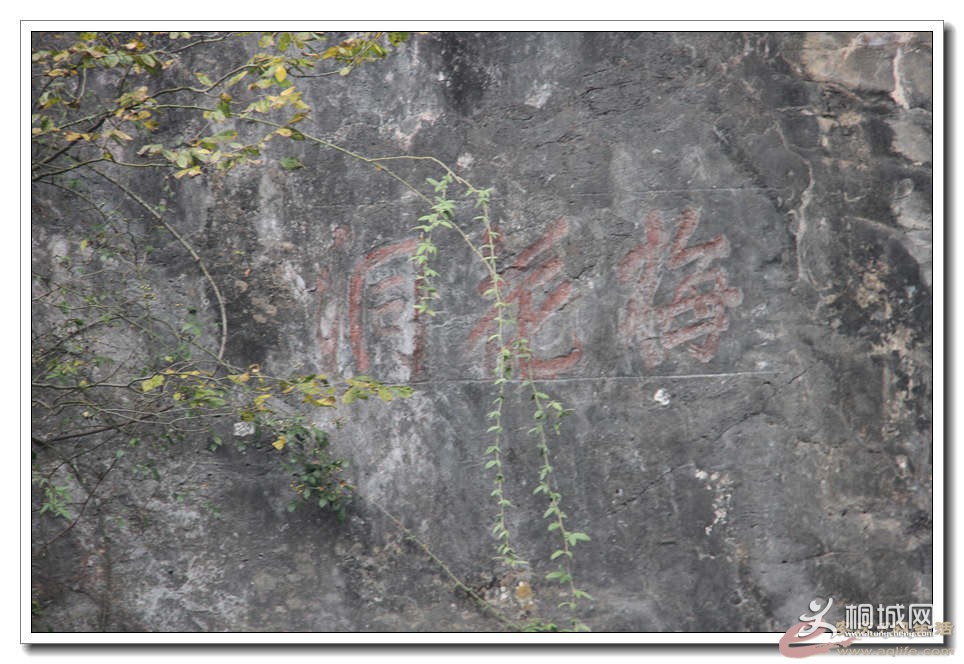 121241h92fvftxit89rk83.jpg