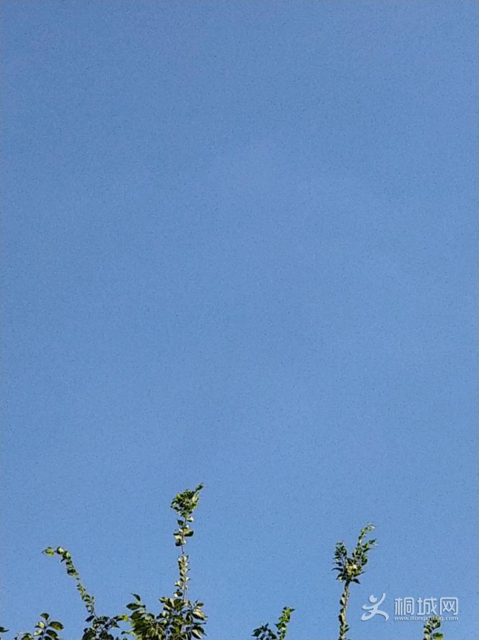 IMG_20200803_160519.jpeg
