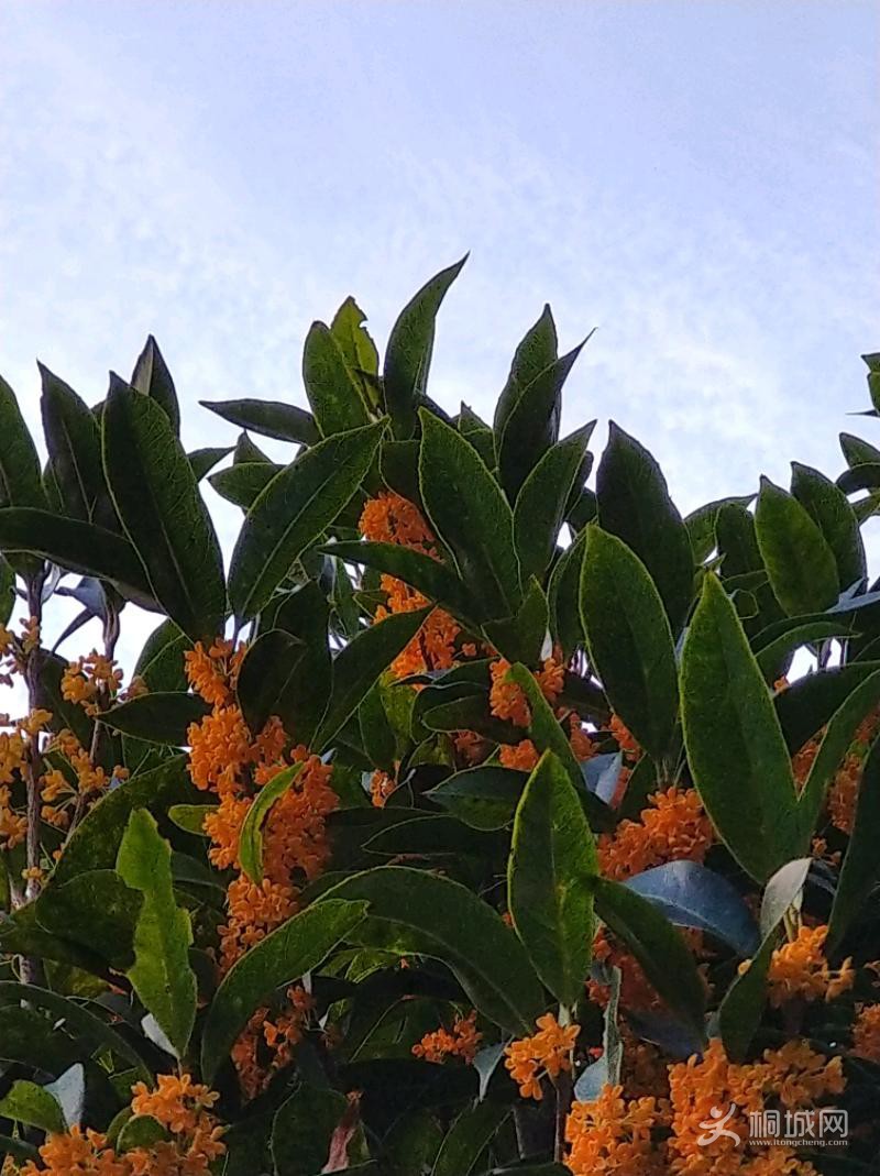 IMG_20200927_071624.jpeg