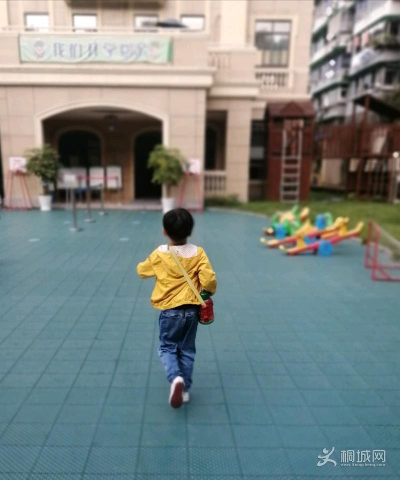 IMG_20200930_120626.jpeg