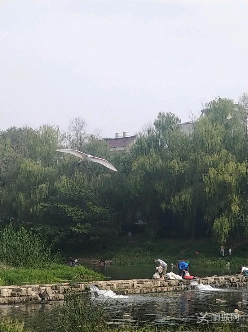 IMG_20201002_101446.jpeg