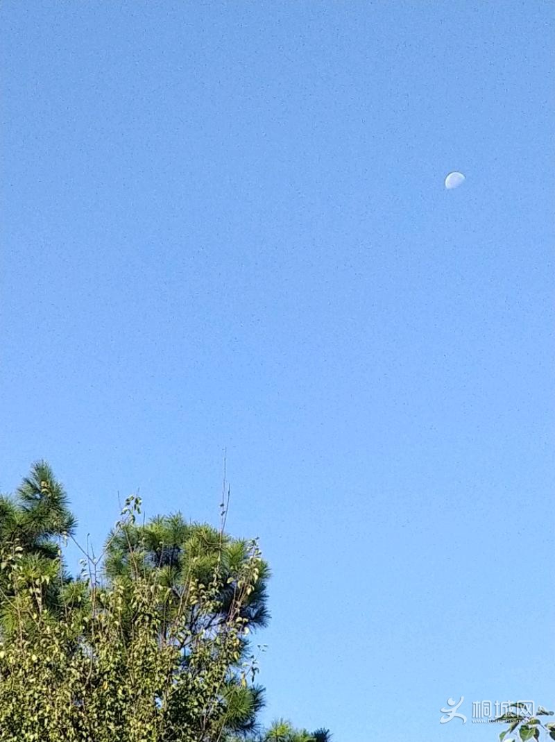 IMG_20201008_083316.jpeg