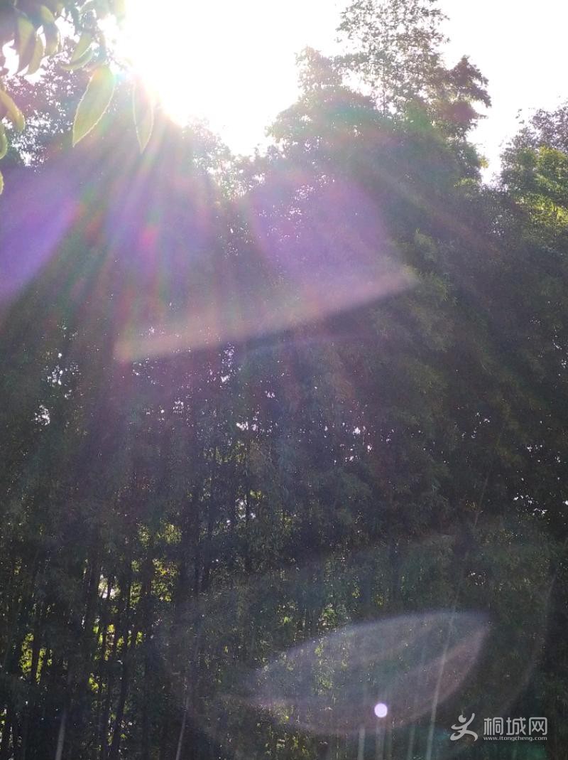 IMG_20201023_094544.jpeg