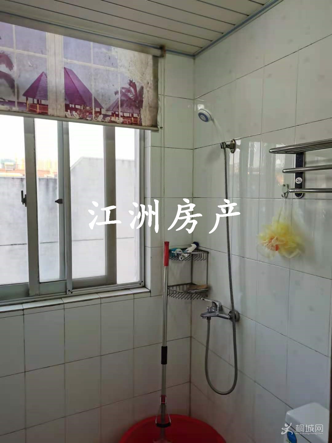 mmexport1605255050419.jpg