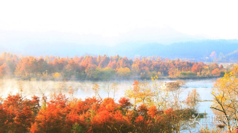IMG_5202_爱奇艺_副本.jpeg
