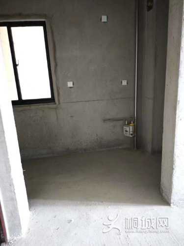 mmexport1608433504656.jpg