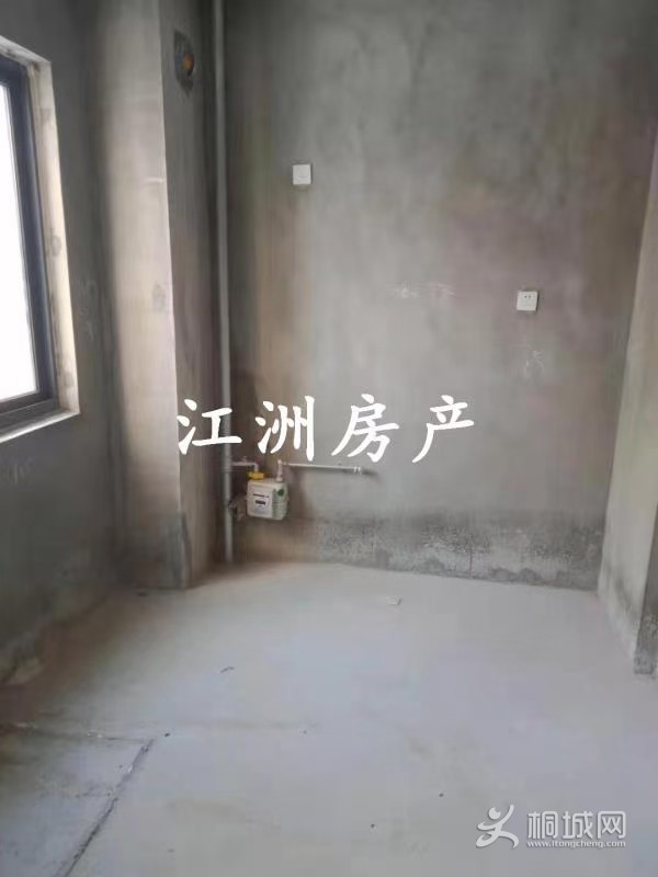 mmexport1608629590940.jpg