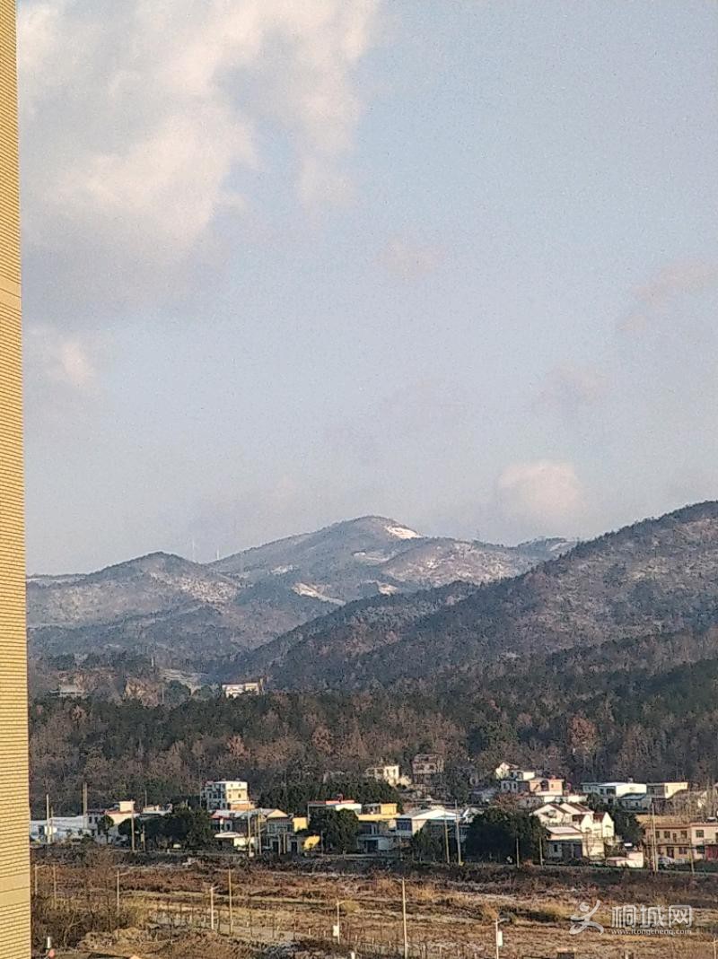 IMG_20201230_082714.jpeg