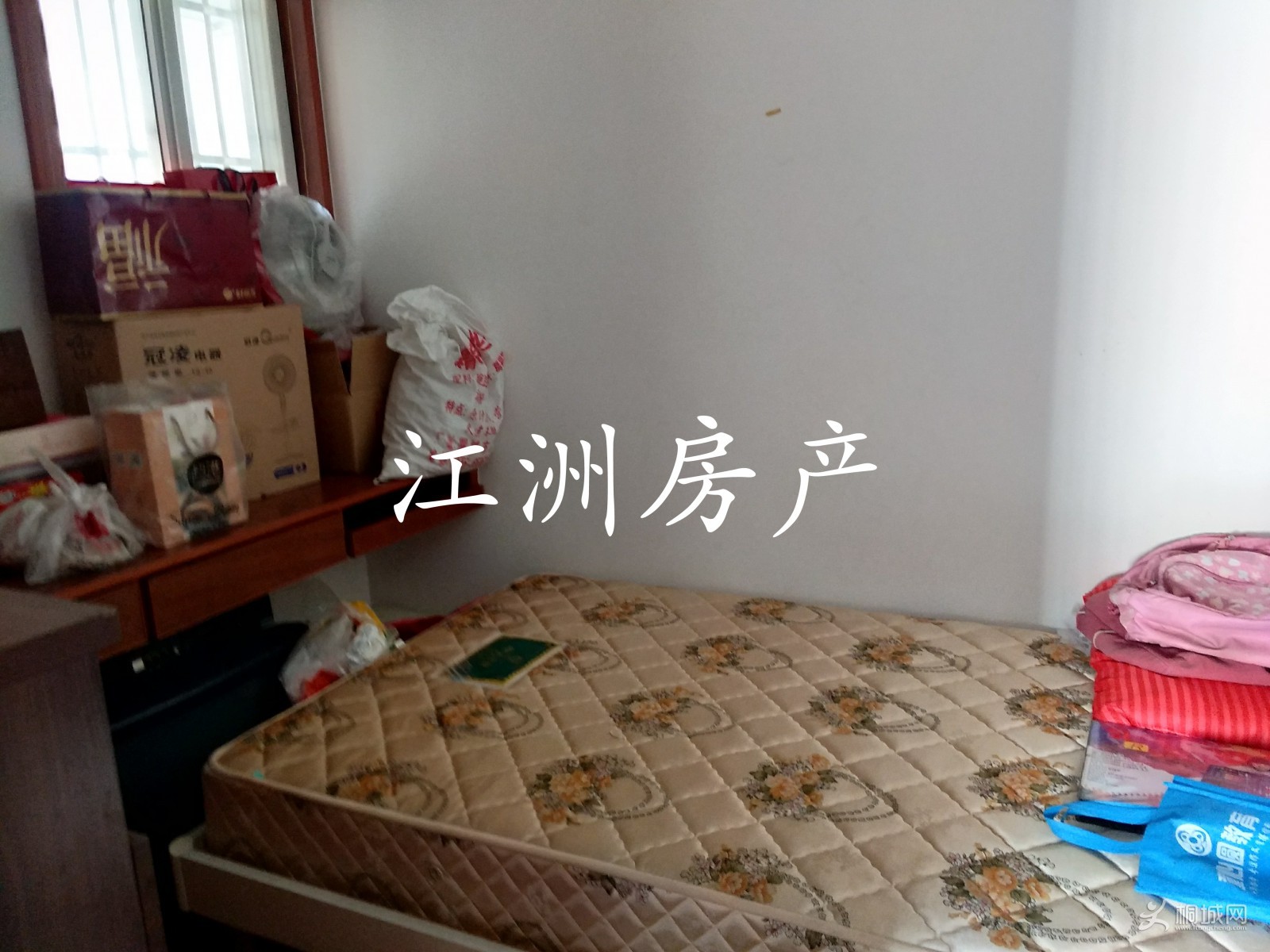 IMG_20191109_112654.JPG
