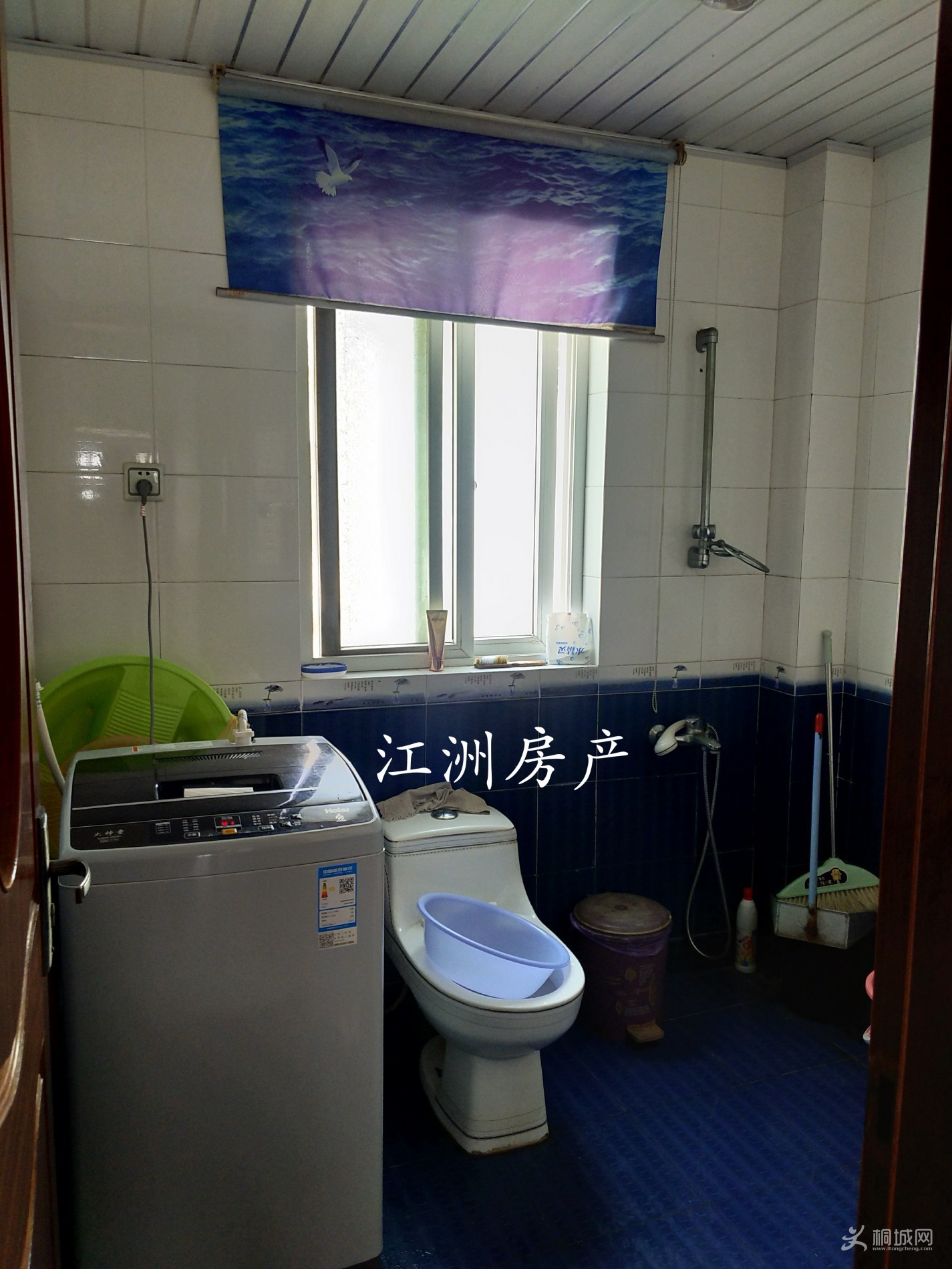 IMG_20191109_112815.JPG