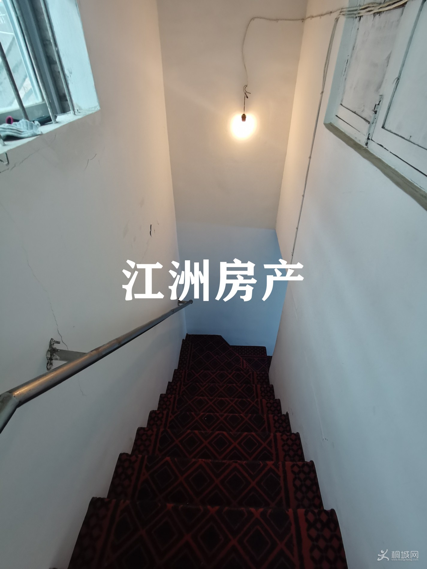 IMG_20210225_152541.jpg