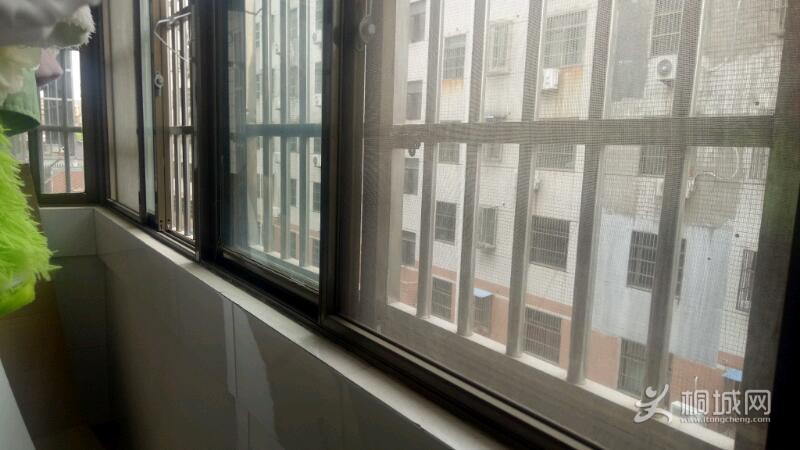 IMG20210419152052.jpeg
