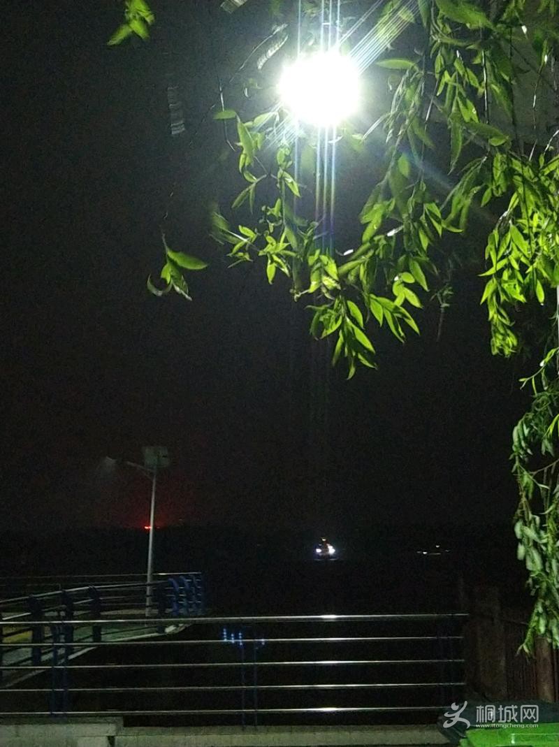 IMG_20210424_212000.jpeg