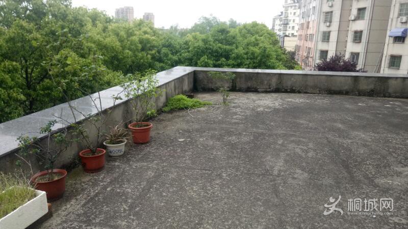 IMG20210428174915.jpeg