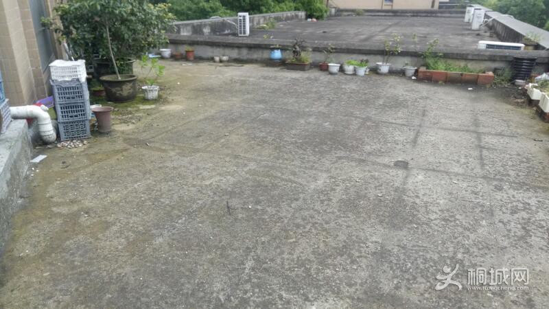 IMG20210428174902.jpeg