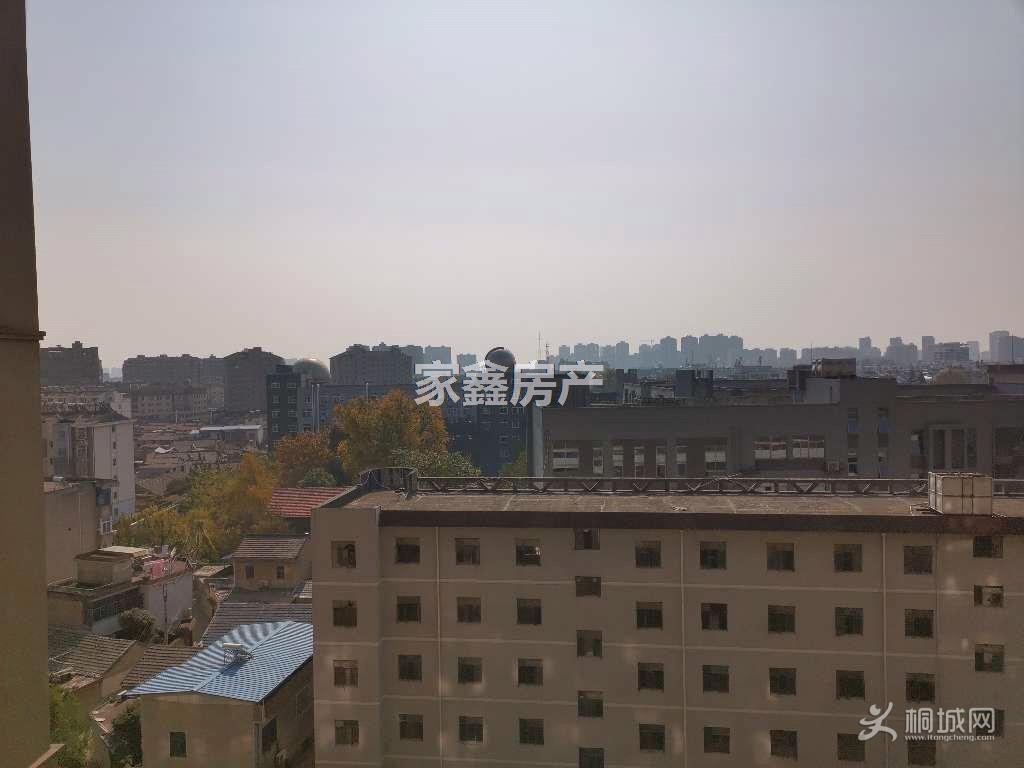 ͼ_ޱǩ(6).jpg