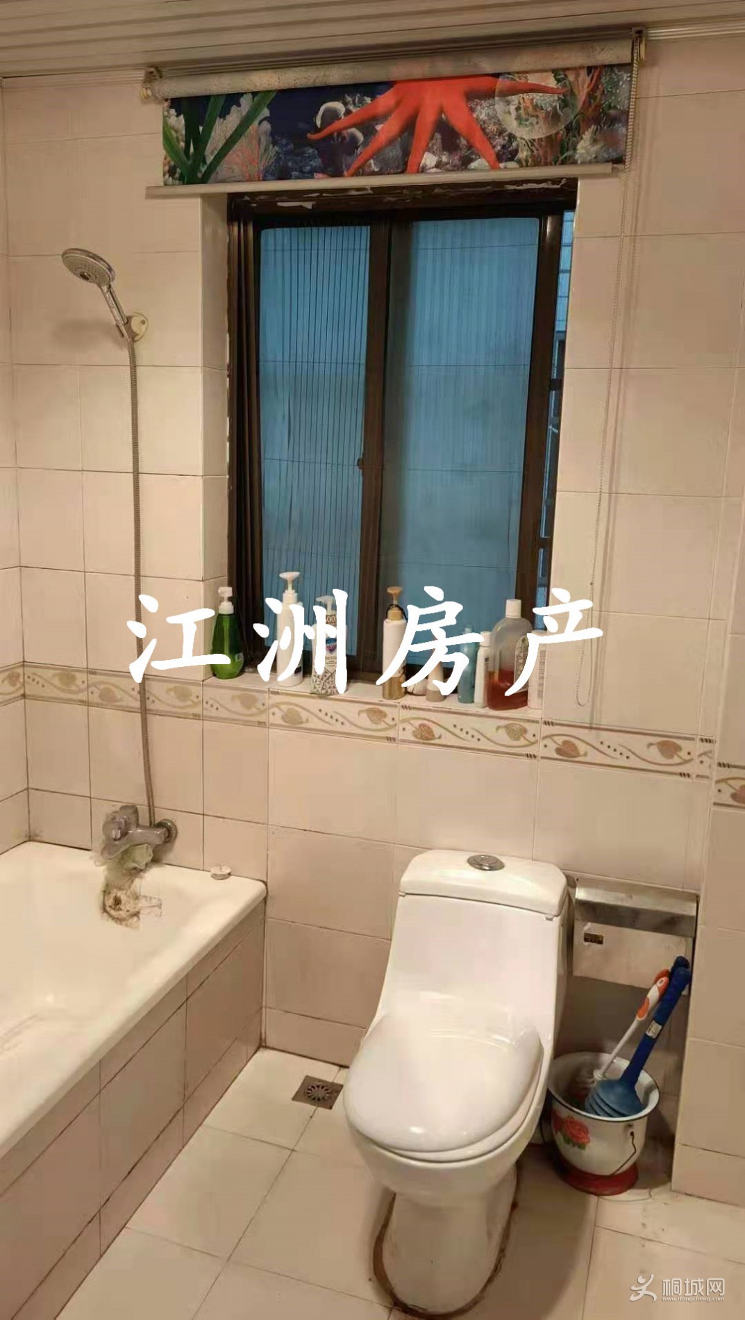 mmexport1629538792550.jpg