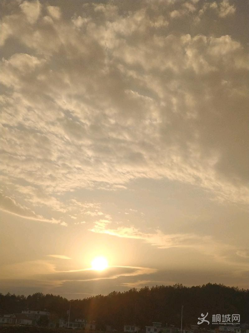IMG_20211129_162633.jpeg